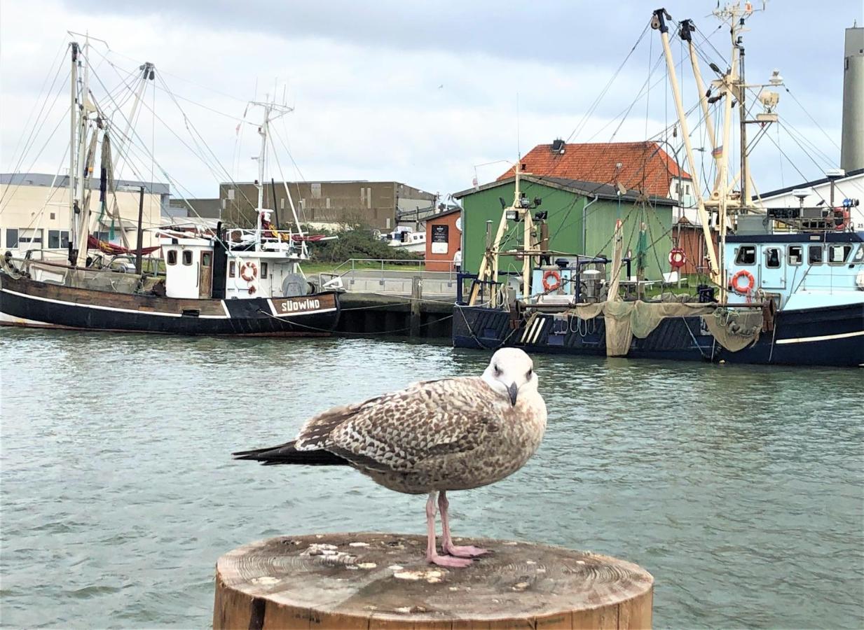 Kutterbude Buesum - Bude I Luaran gambar